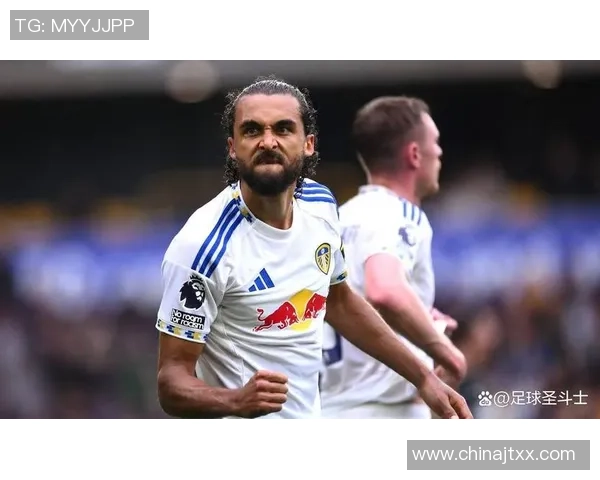 锤子足球明星背后的故事与成就揭秘